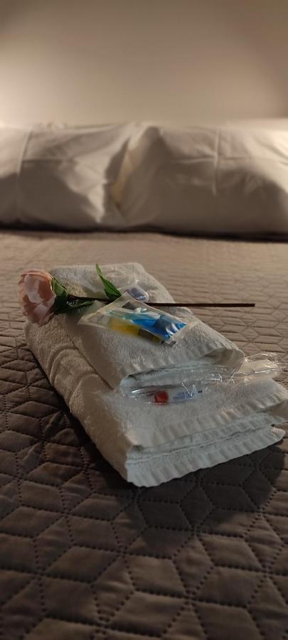Vila Santa Cruz Guest House 布拉加 外观 照片