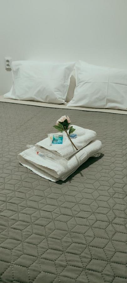 Vila Santa Cruz Guest House 布拉加 外观 照片
