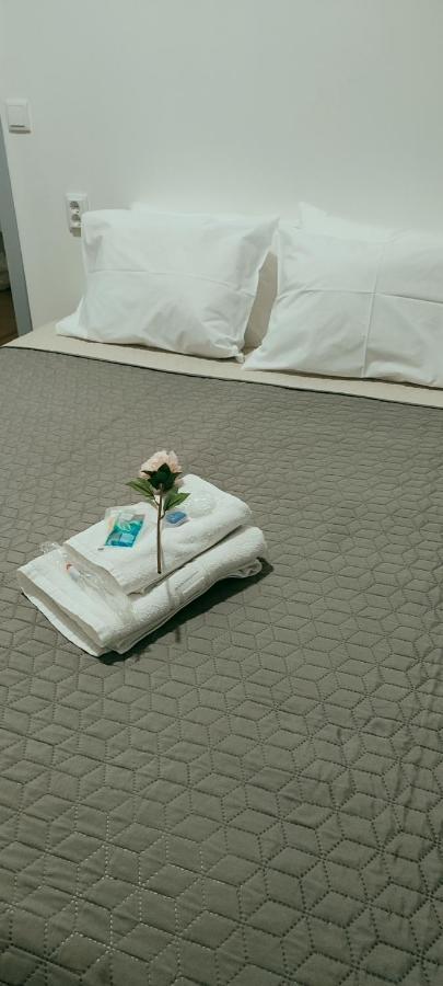 Vila Santa Cruz Guest House 布拉加 外观 照片